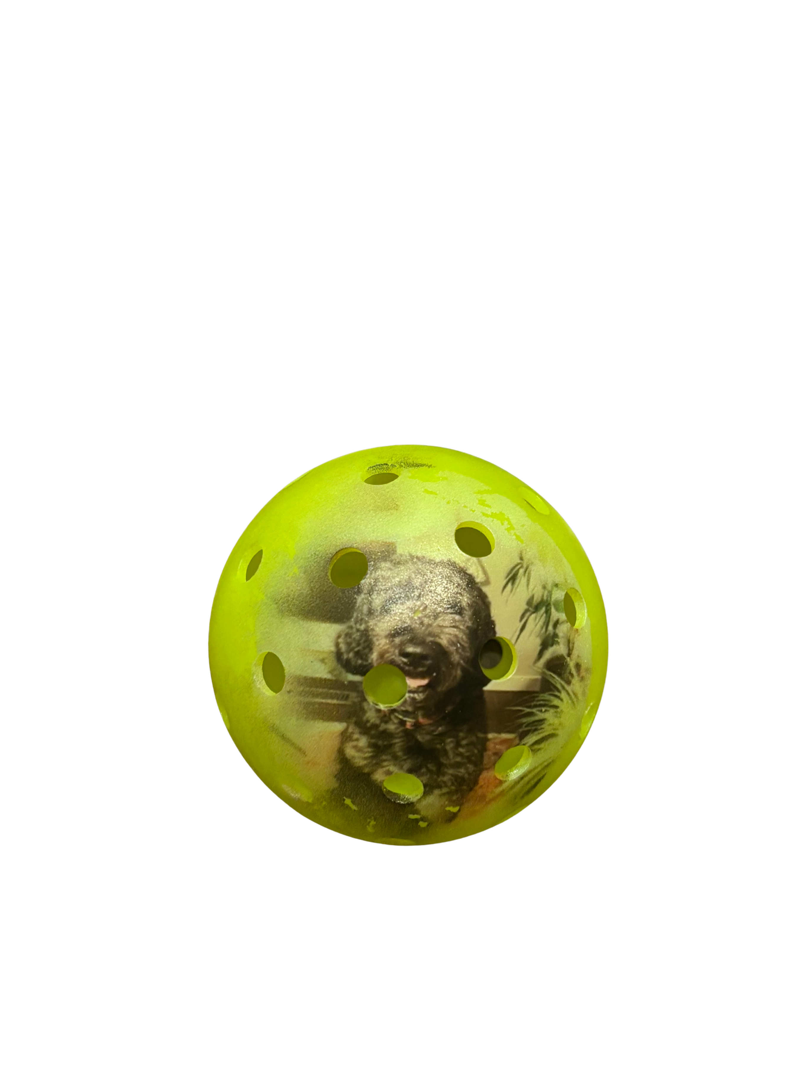 Custom Pickleball (Image)