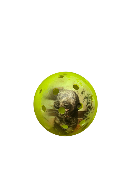 Custom Pickleball (Image)