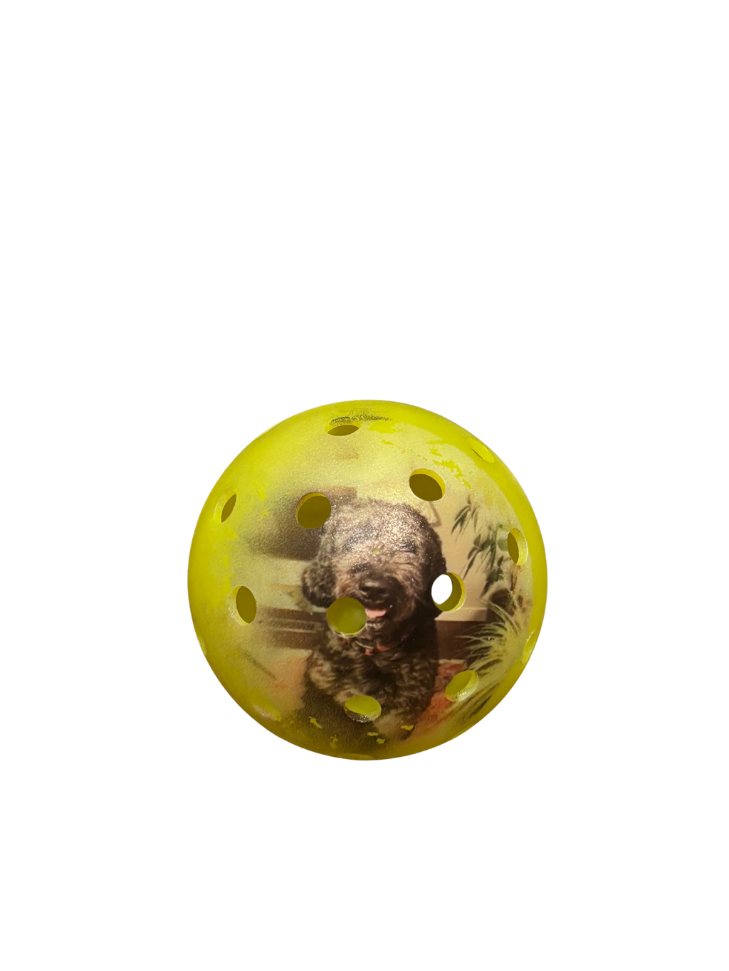 Custom Pickleball (Image)