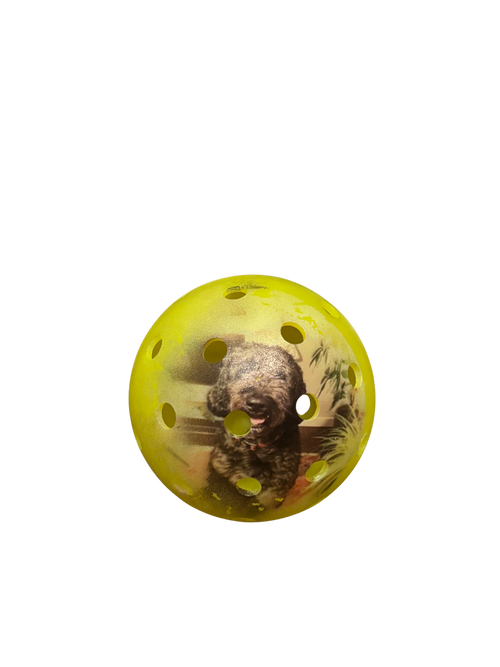 Custom Pickleball (Image)