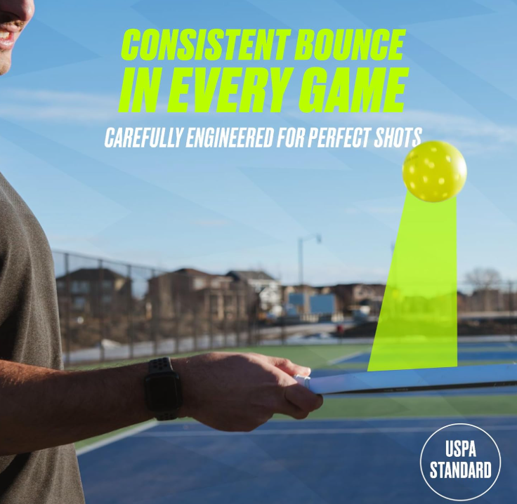 pickle jargon™ Pickleball Balls (don't dink and drive)