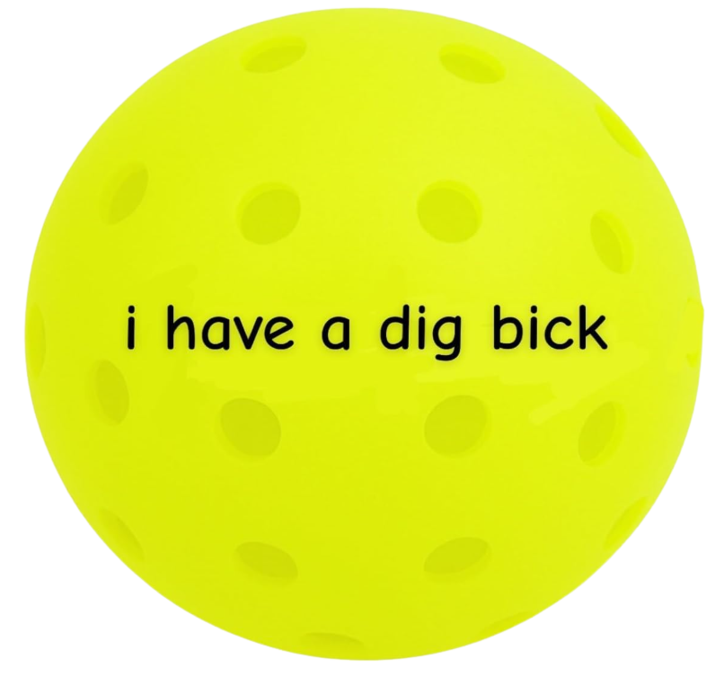 pickle jargon™ Pickleball Balls (i have a dig bick)