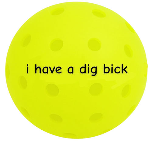 pickle jargon™ Pickleball Balls (i have a dig bick)